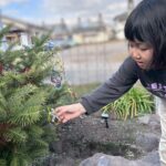 クリスマス飾り